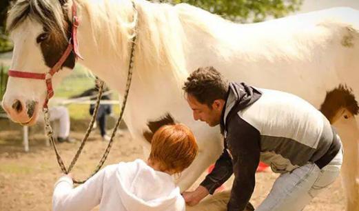 Yohan Guerin en séance d'ostéopathie sur un cheval